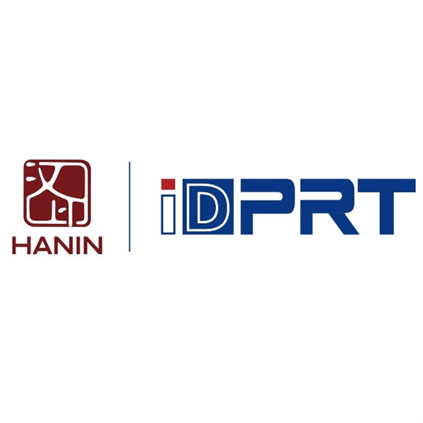 Термоголовка iDPRT ASSY: iX4P 300 DPI Printhead 101000141
